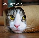 Аватара пользователя