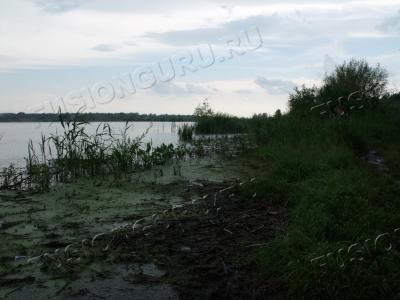 DSCF6369
