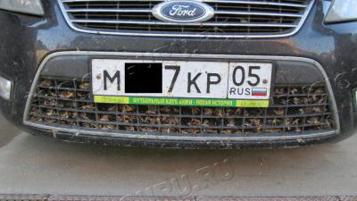 IMG_6116-1