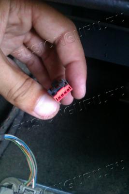 IMAG2421