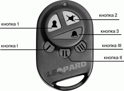 leo32-1