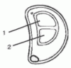 LS70