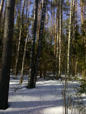 IMG-1458987511754-V