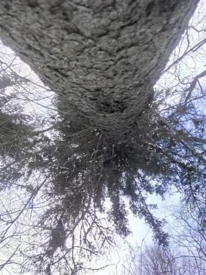 IMG_20170121_122927