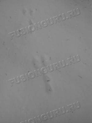 IMG_20170121_123442