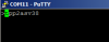 putty01
