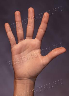 hand-five-points