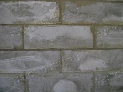 DSC01065