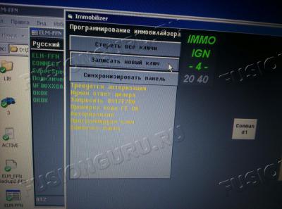 IMMO ELM-FFN