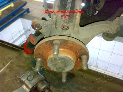 040920123282