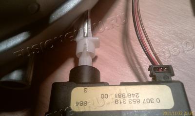IMAG0342