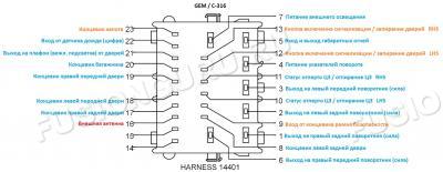 C-316 GEM 1