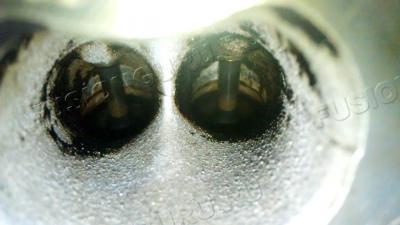 vlcsnap-20259